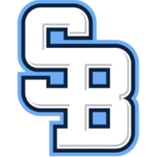 国际布拉蒂斯拉瓦